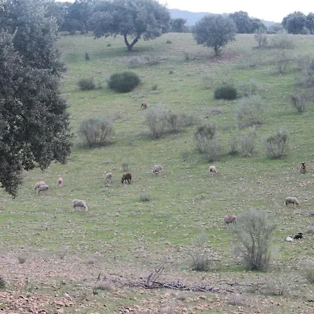 La Coscoja Vakantiehuis Mérida