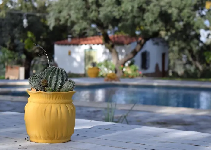 La Coscoja * Мерида