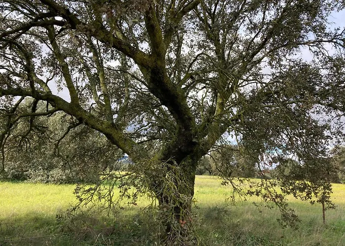 Prázdninový dům La Coscoja