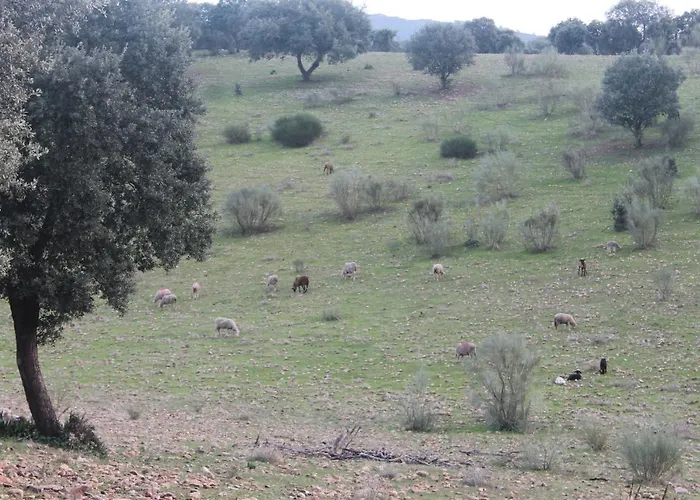 La Coscoja Σπίτι διακοπών Μέριδα